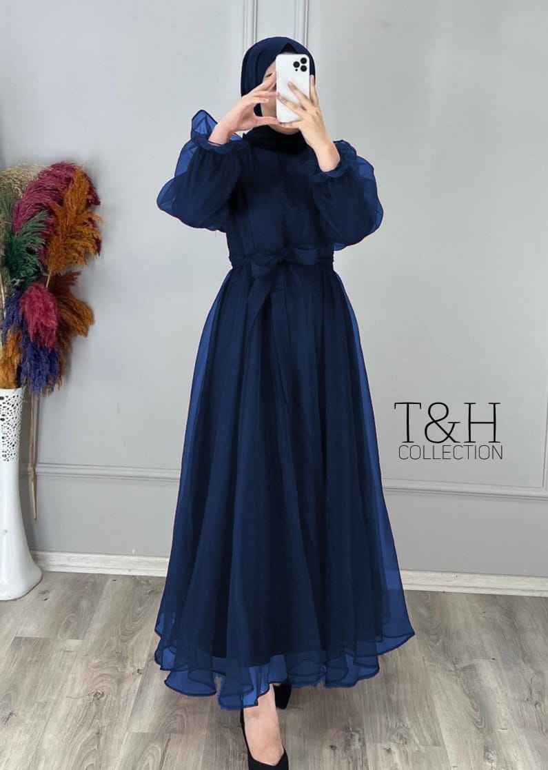 Elegant Net Plain Maxi Dress