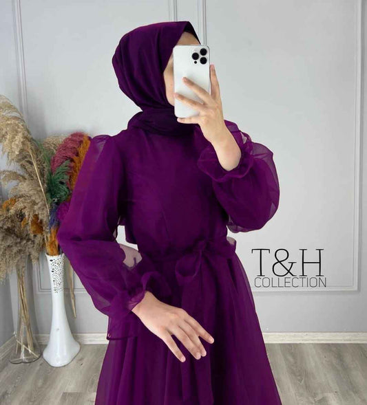 Elegant Net Plain Maxi Dress